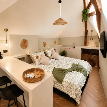 Apartment Les Vertigo Et Terracotta Climatise - Centre - 4 People