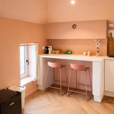 Les Vertigo Et Terracotta Climatise - Centre - 4 People Apartment Metz